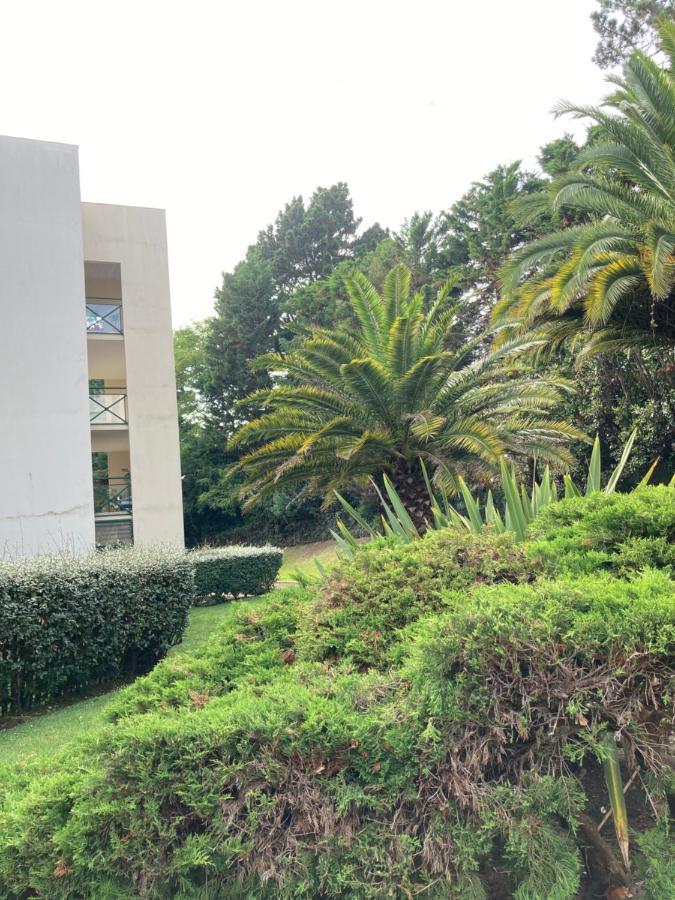 Aguilera 2 A 4 Pers Appartement Biarritz